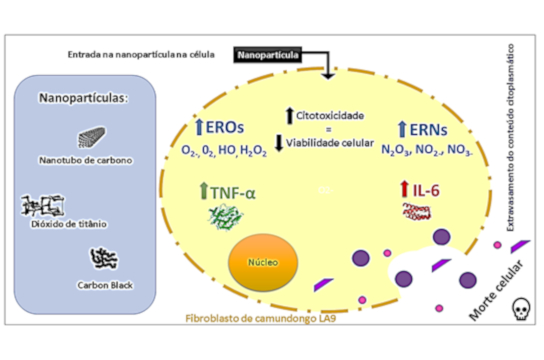 Estudo investiga a segurança do uso de nanopartículas industriais