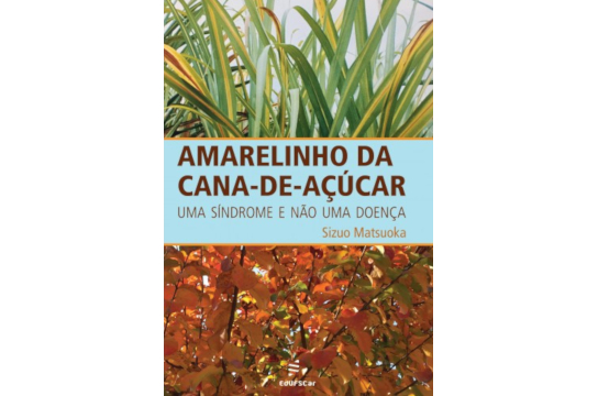 Livro da EdUFSCar aborda o amarelinho da cana-de-açúcar