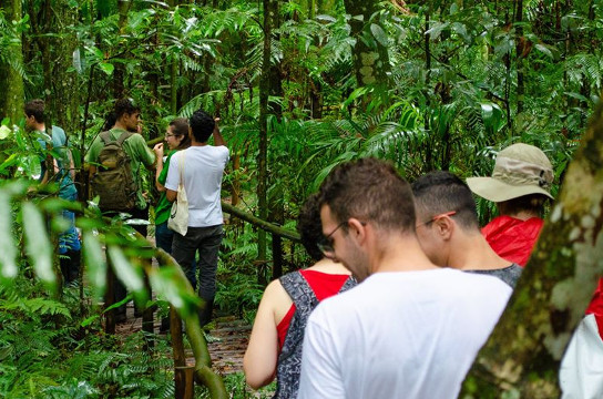 Descubra a Federal: Trilha da Natureza