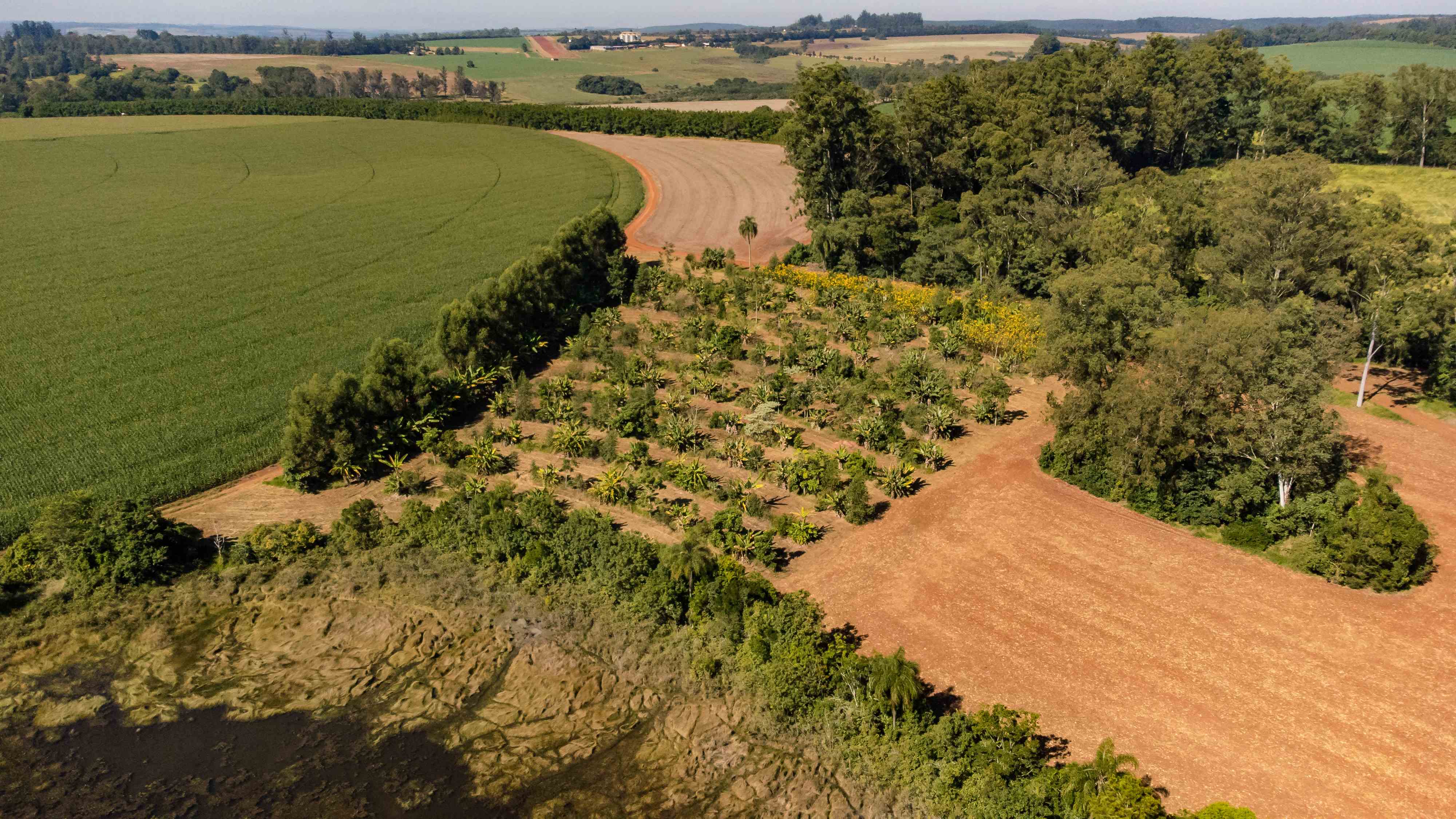 Edital 008/2026 - Extensionista rural: lista de classificados