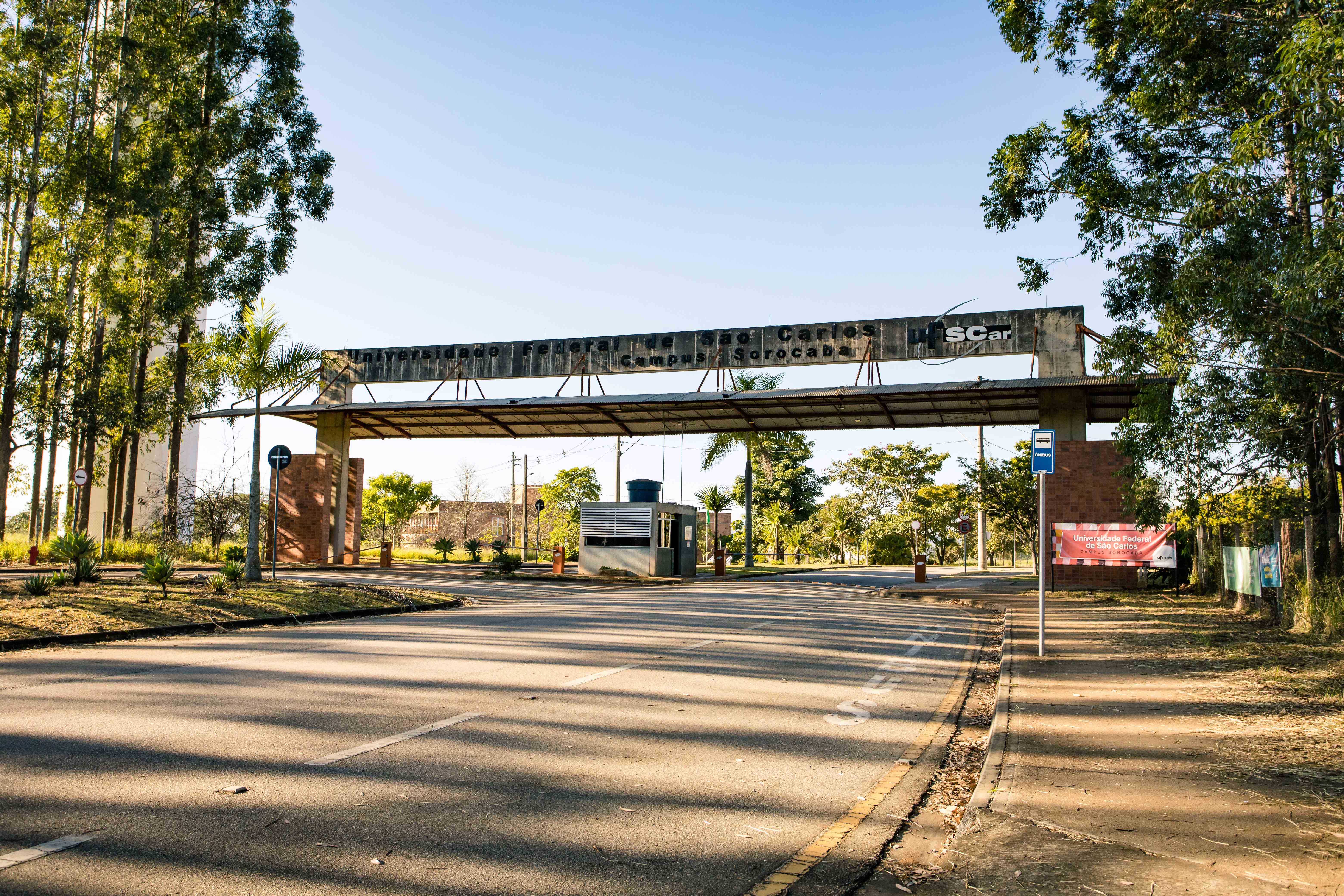 Edital 026/2026 - Manejo florestal e silvicultura: seleção de pós-graduandos do Campus Sorocaba