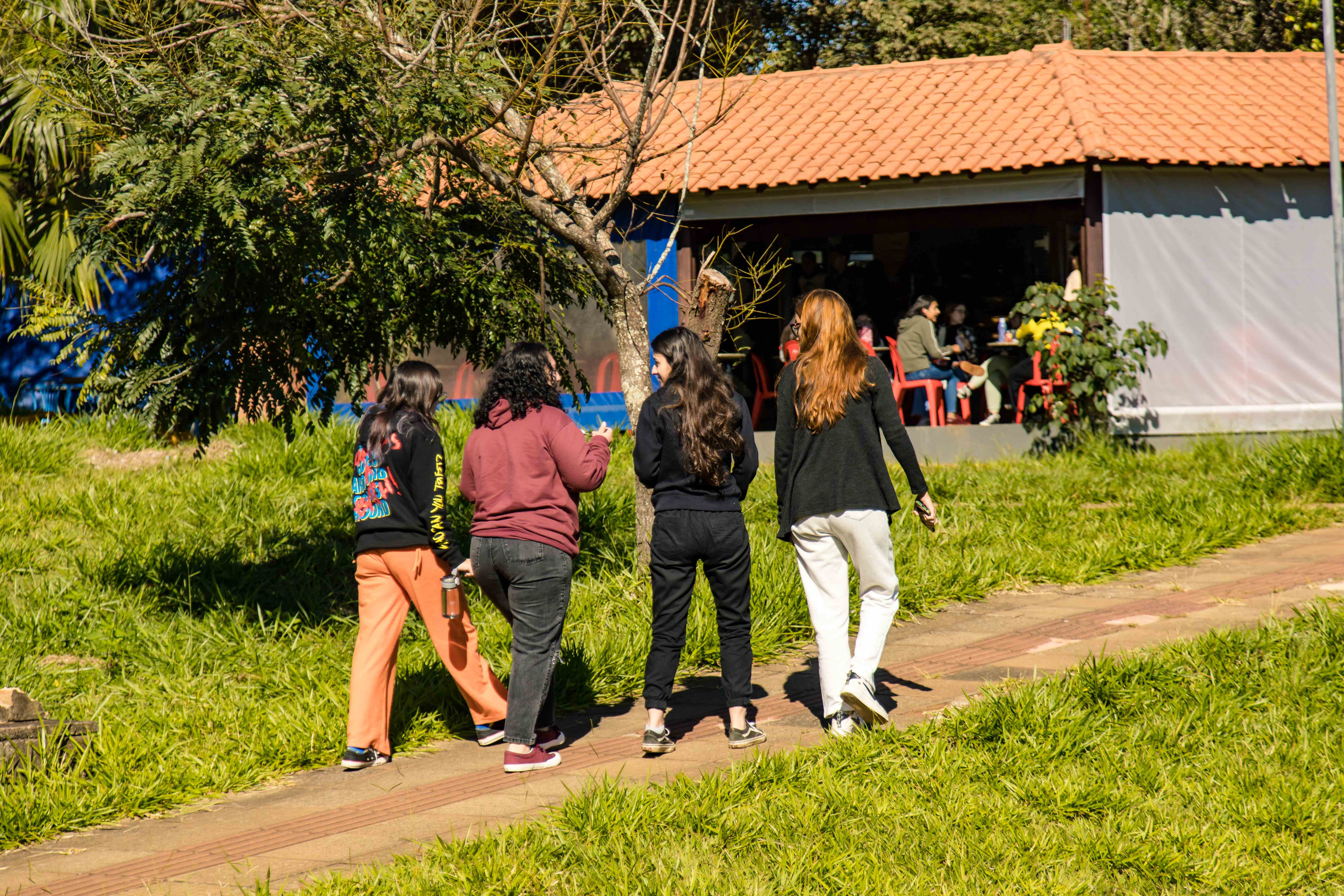 Observatório Mulheres: edital seleciona vinte estudantes de graduação da UFSCar