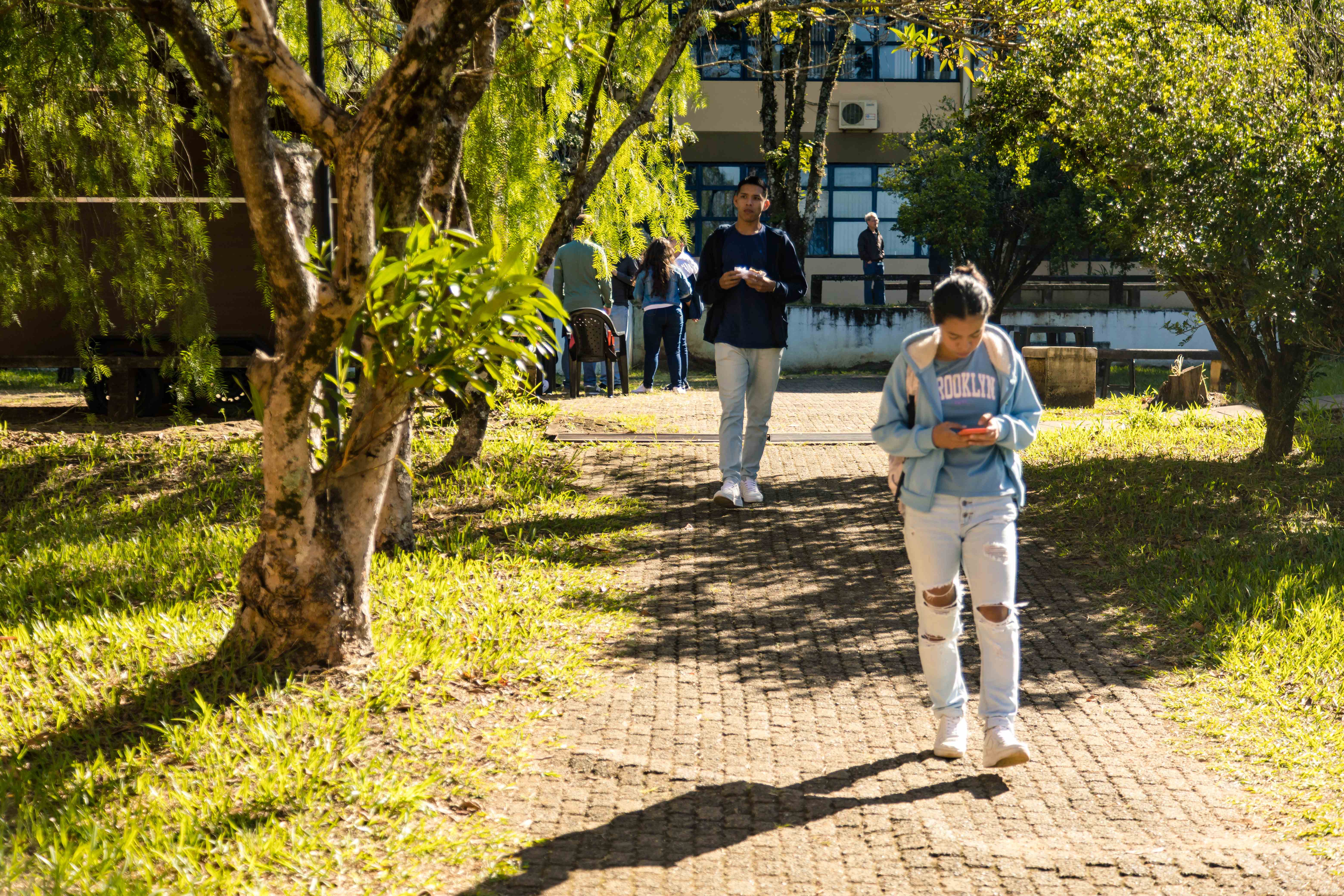 Observatório Mulheres: edital seleciona estudantes de pós-graduação da UFSCar