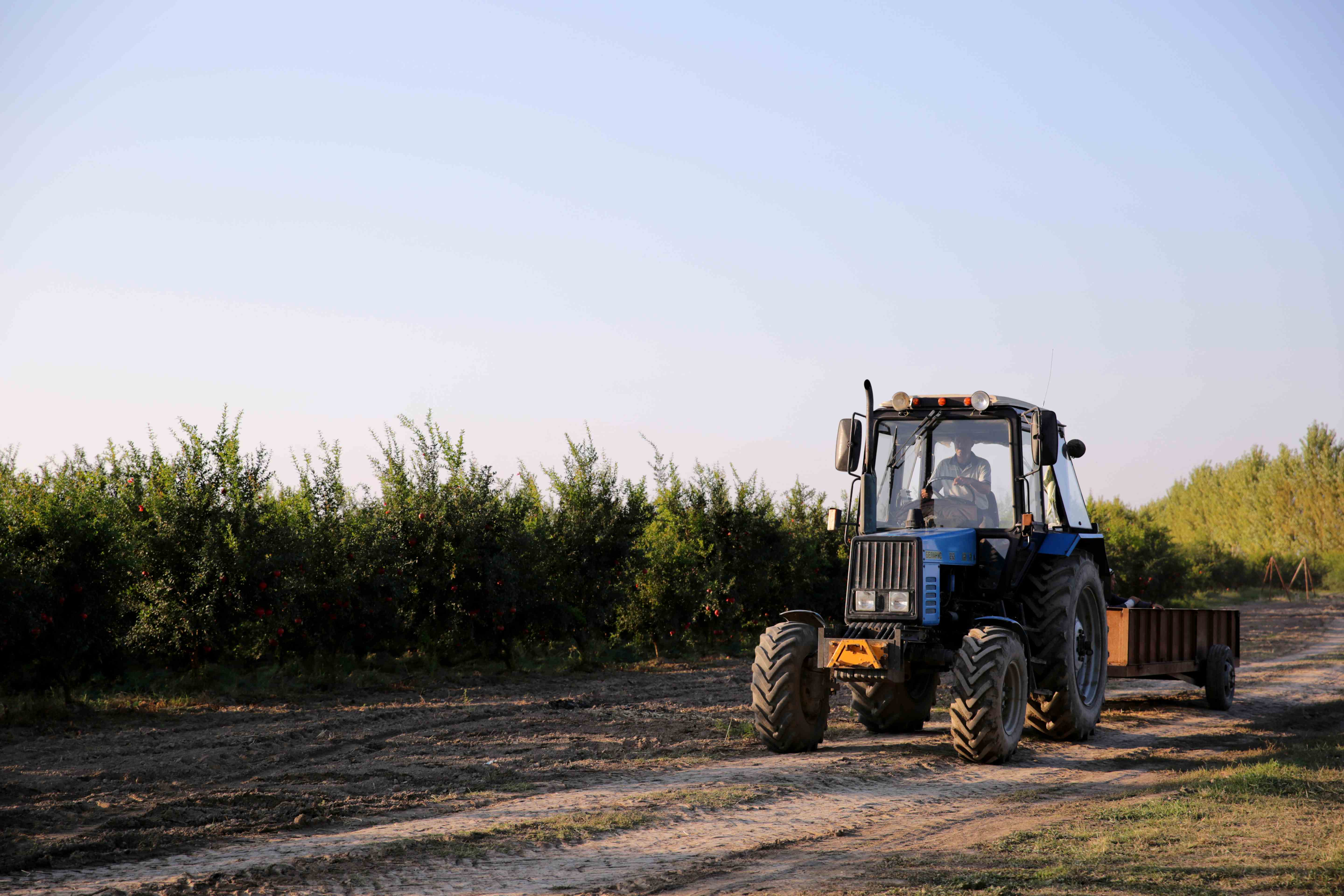 Edital 004/2026 - Operador de máquinas agrícolas: lista de classificados