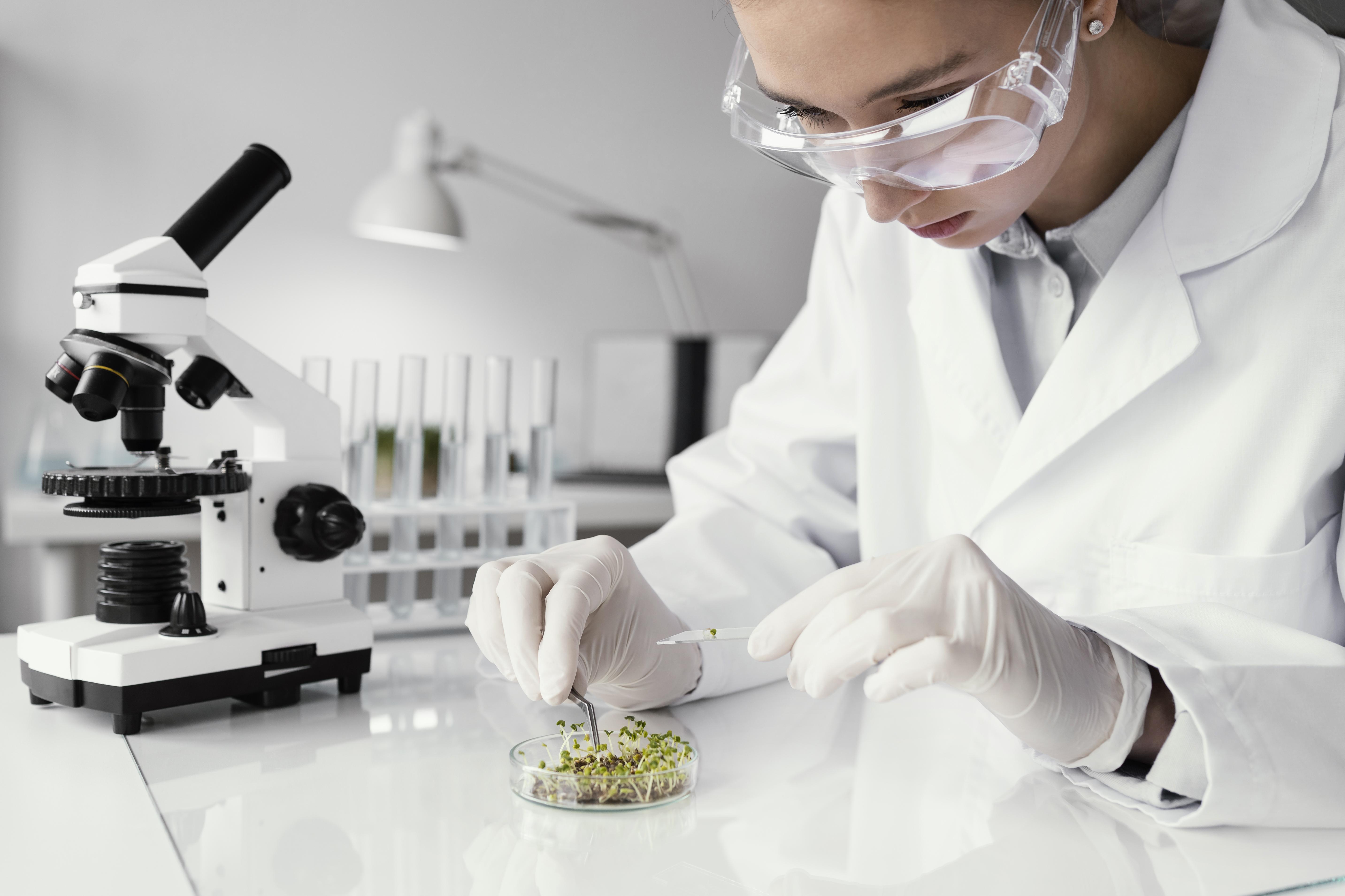 Edital 031/2026 - Embrapa: resultado final seleção em engenharia de materiais, química ou correlata