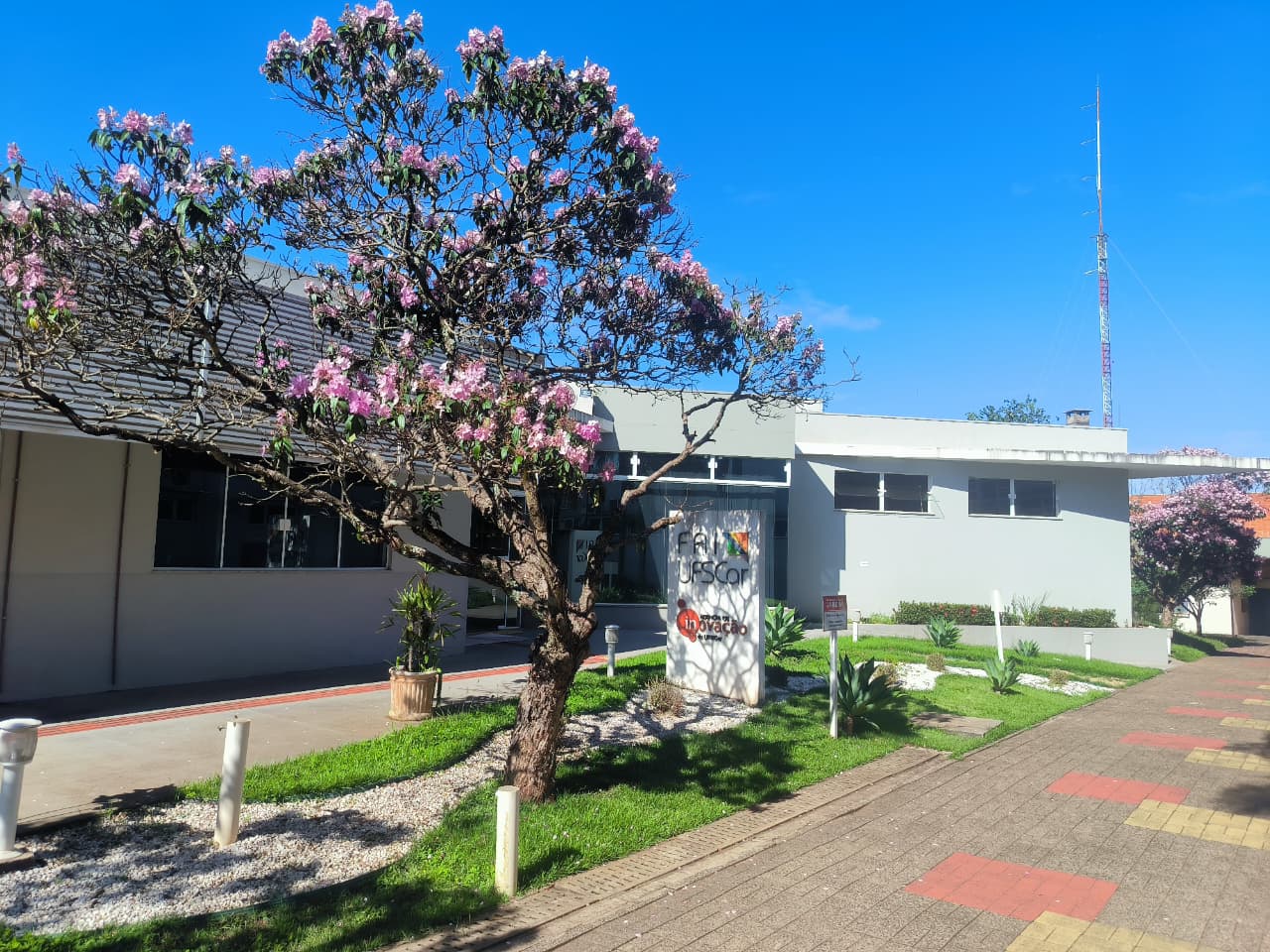 Agência de Inovação: análise de inscrições para auxiliar administrativo é publicada