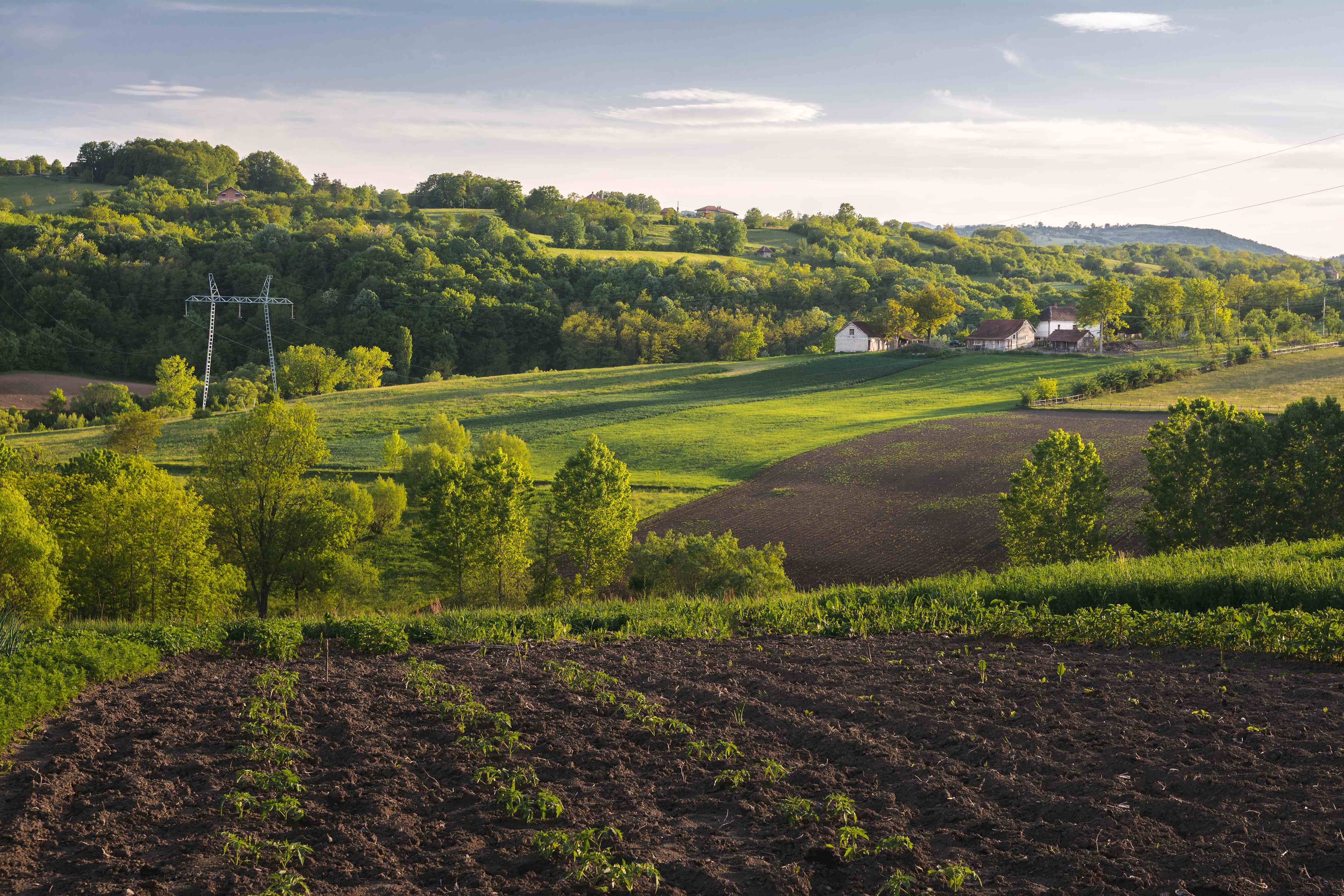 Técnico de campo: seleção de prestador de serviço para atuação em produção agroecológica