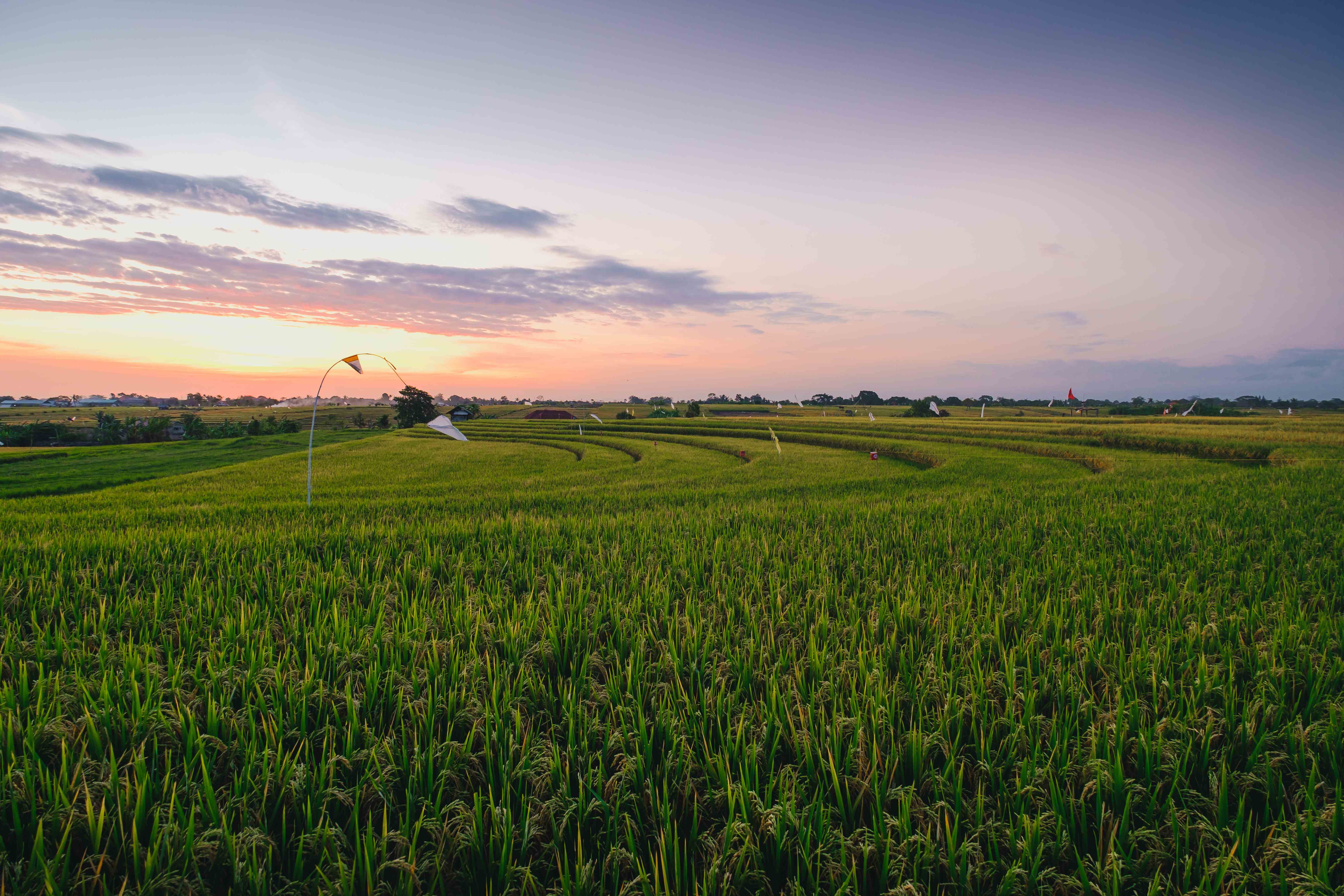 FAI publica análise de inscrição para articulação regional de extensão rural