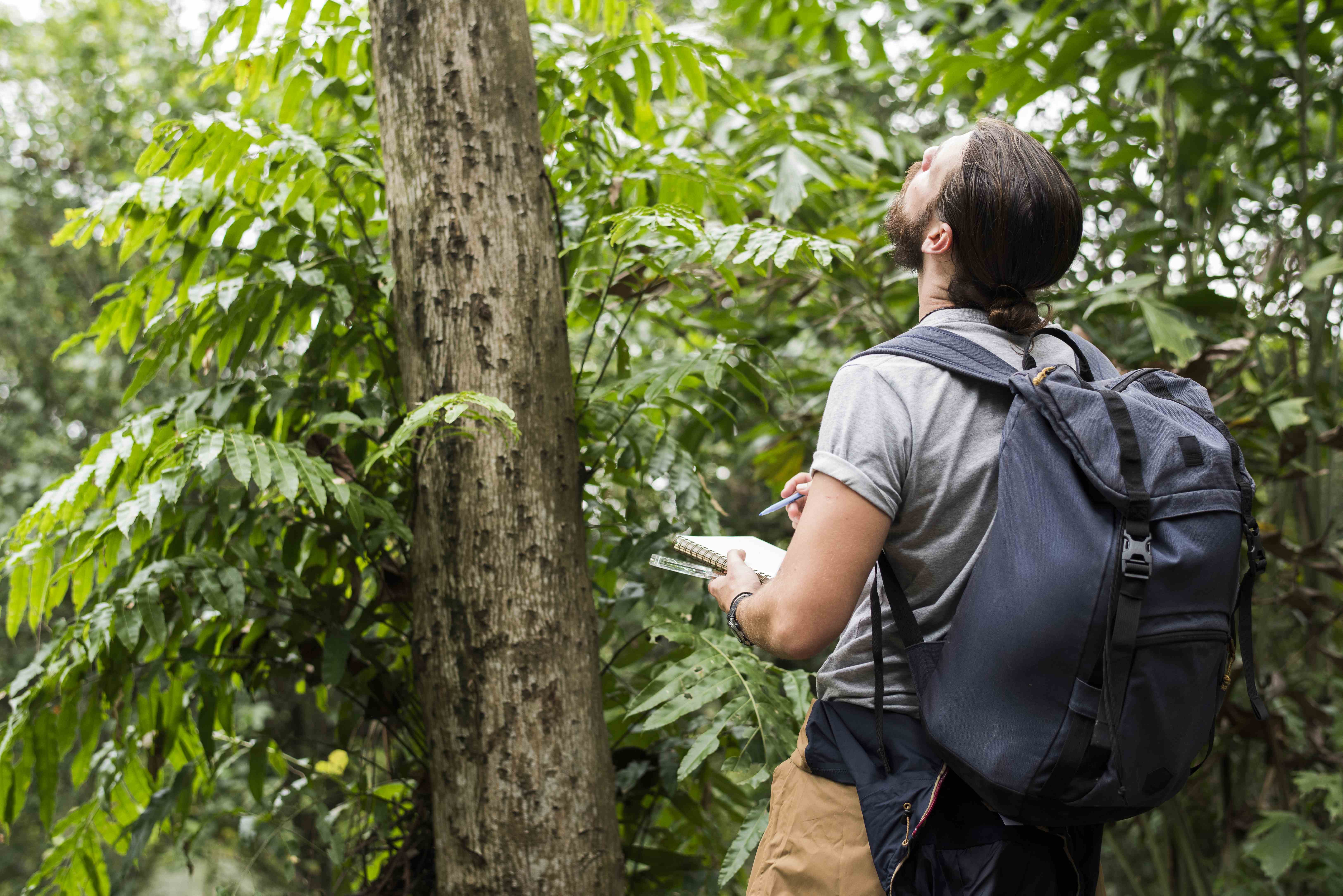 Manejo florestal: seleção de estudantes de graduação em Turismo
