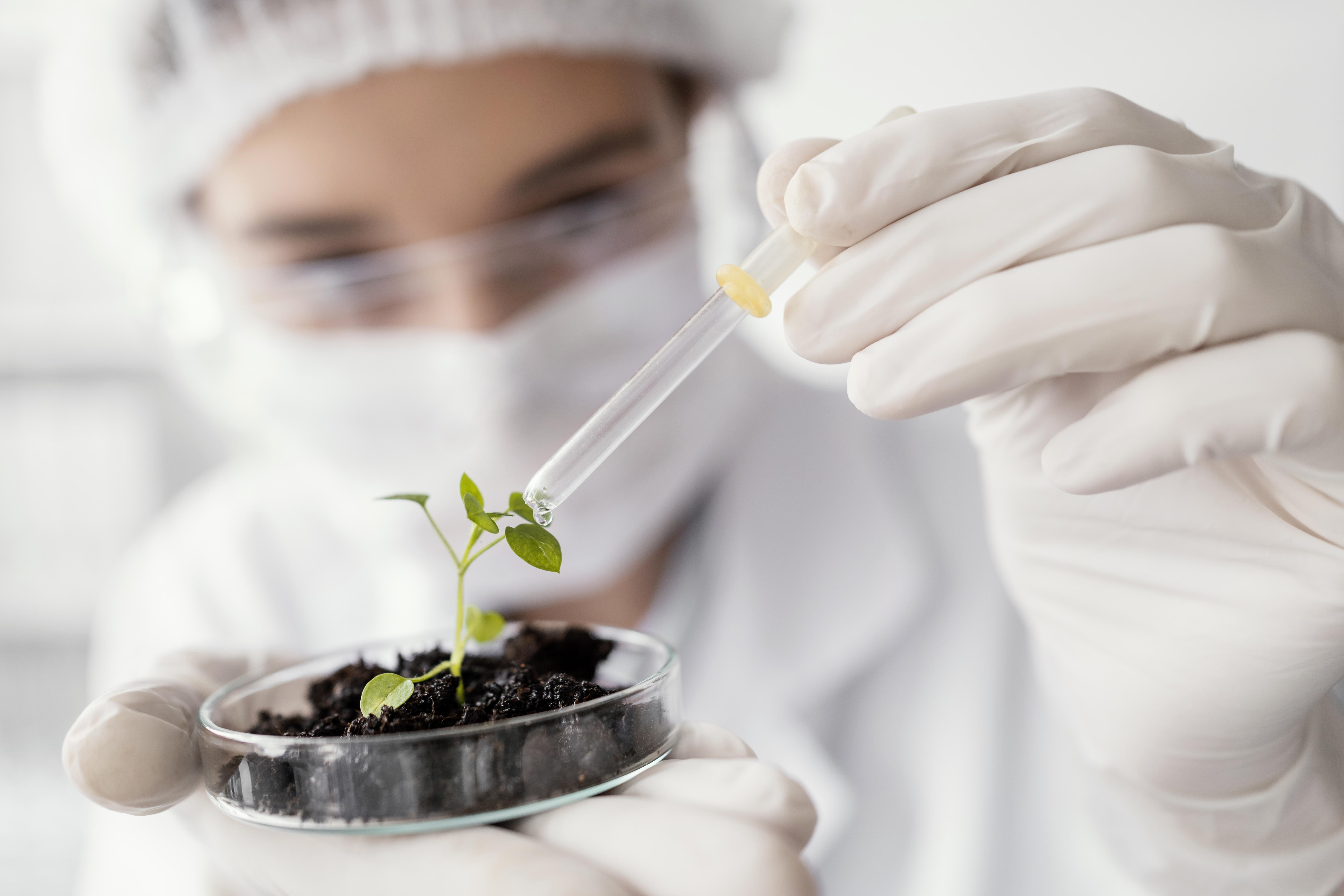FAI seleciona estudantes de agronomia para projeto da Embrapa