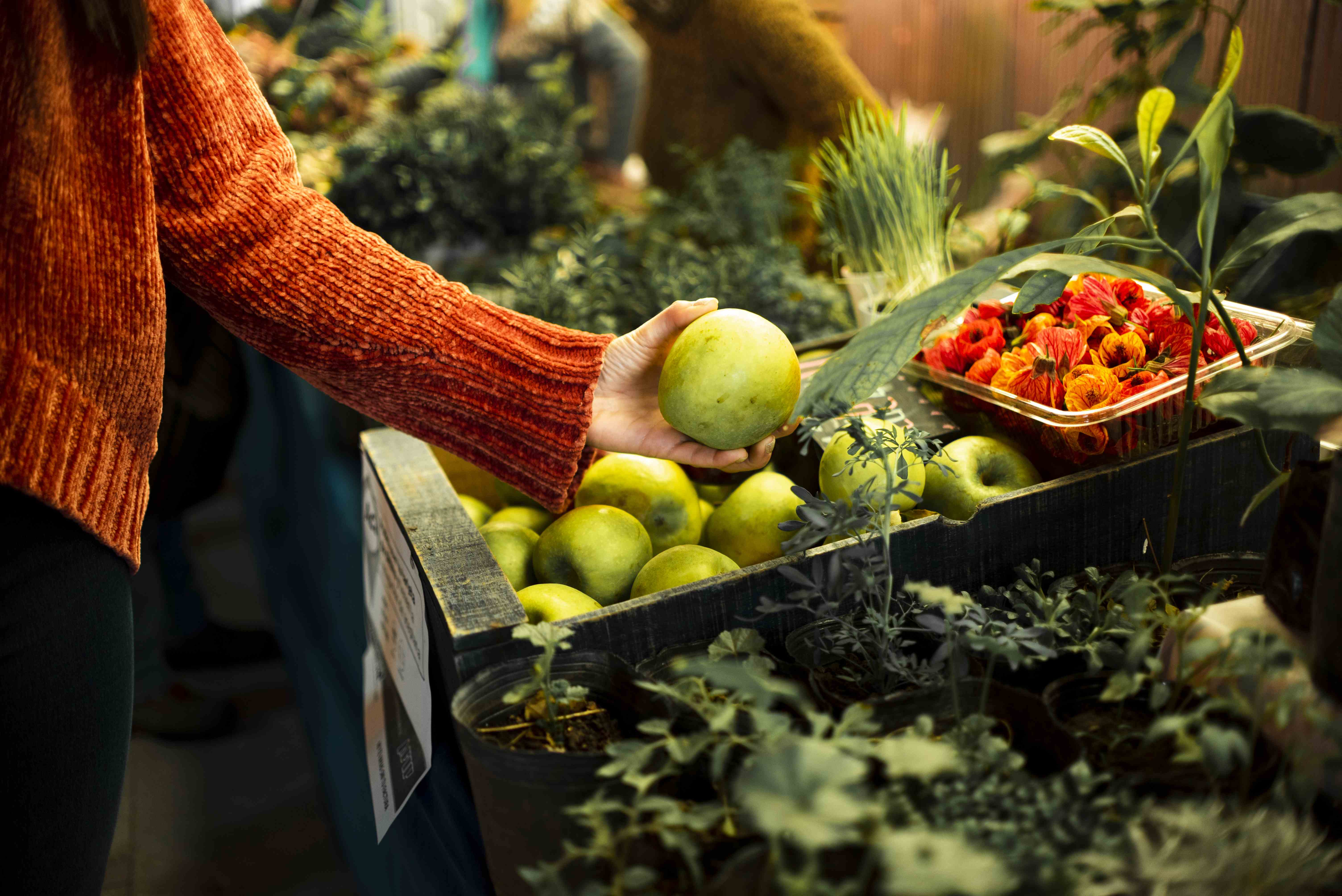 Edital 010/2026 - Técnico de Campo: lista de candidatos classificados