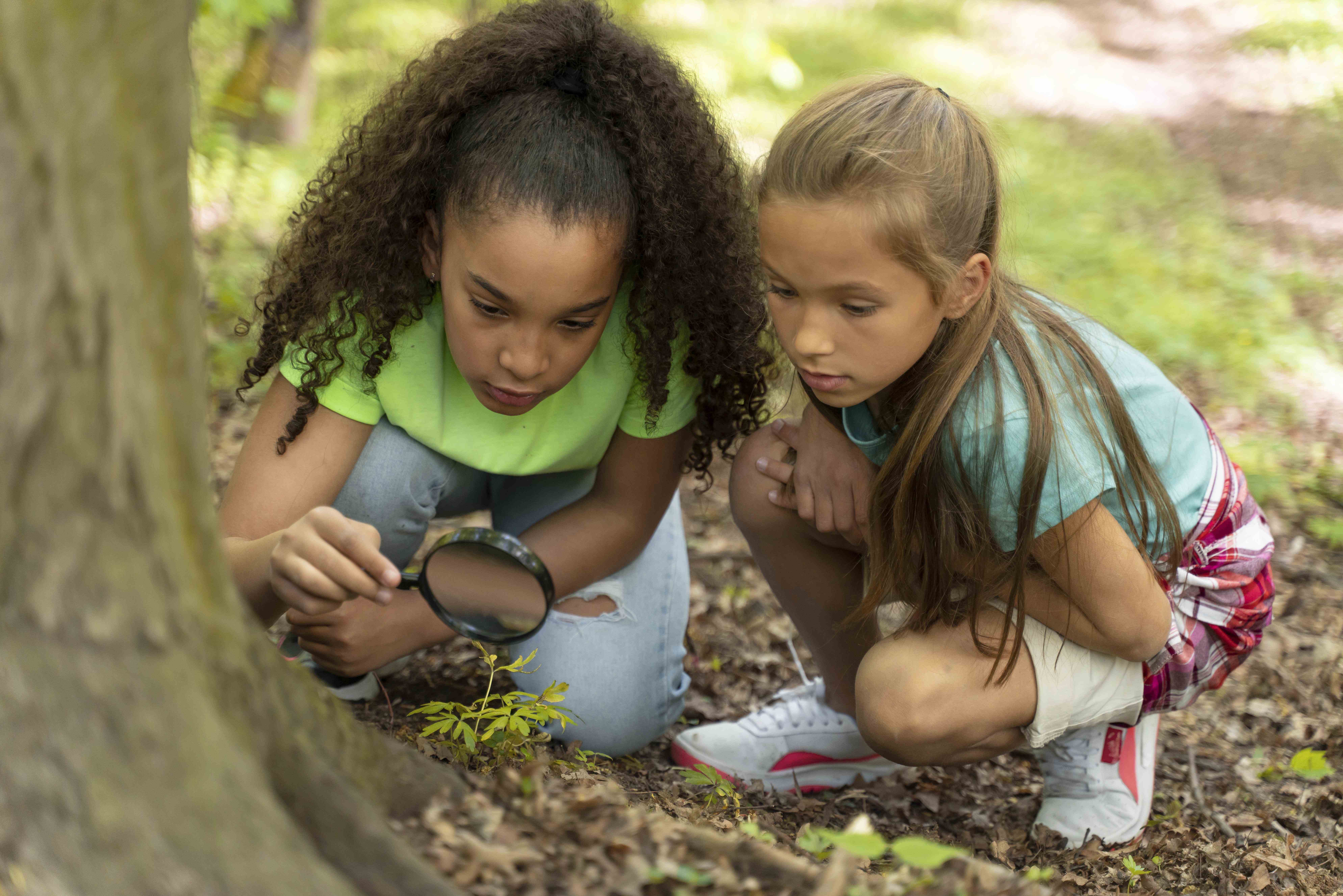 Errata: chamada pública para o curso “Educação Infantil Ambiental para a Justiça Climática”