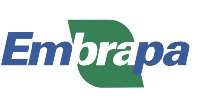 FAI publica classificação para fase de entrevistas em seleção de bolsista para Embrapa
