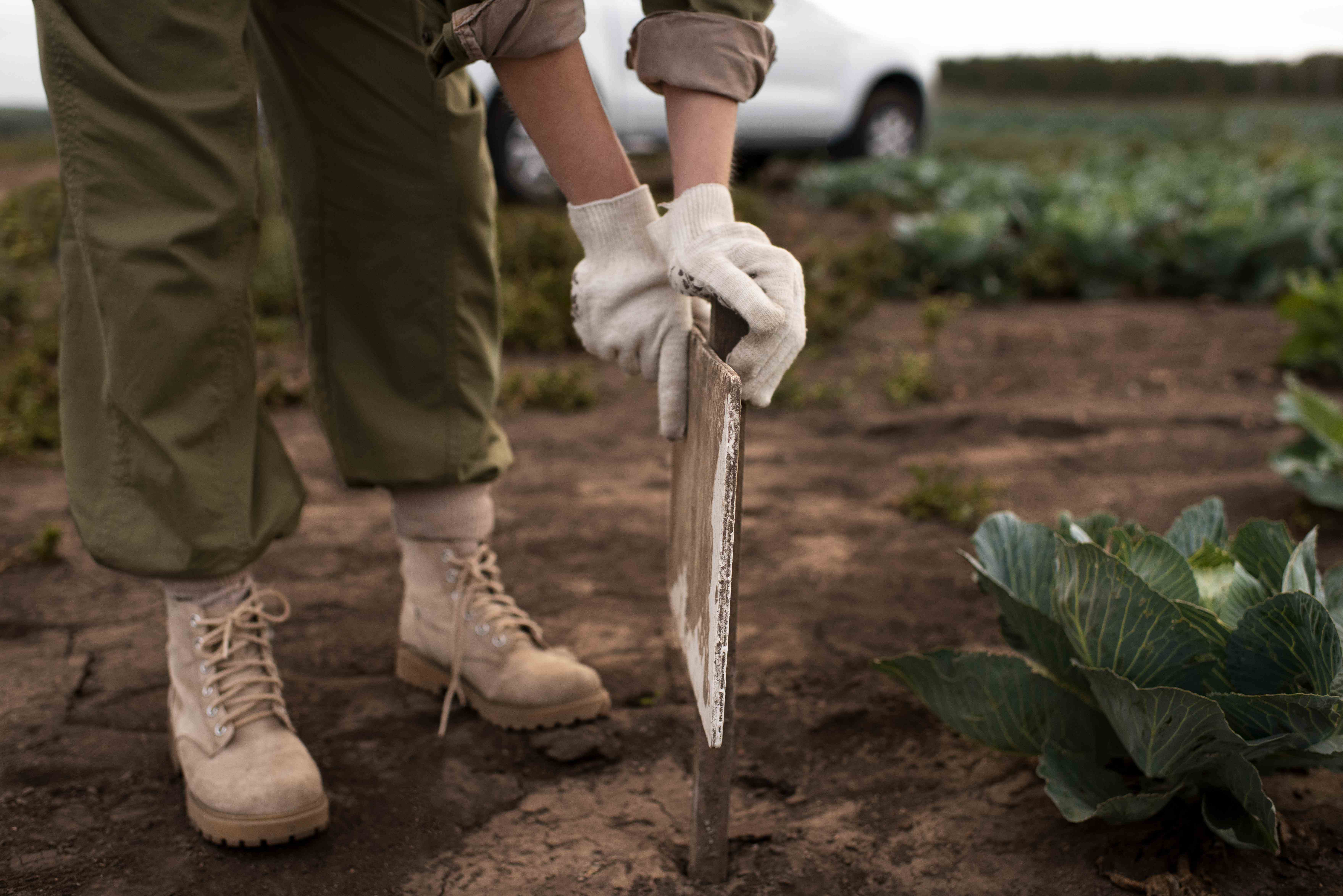 Manejo florestal e silvicultura: resultado final para técnico de laboratório com formação