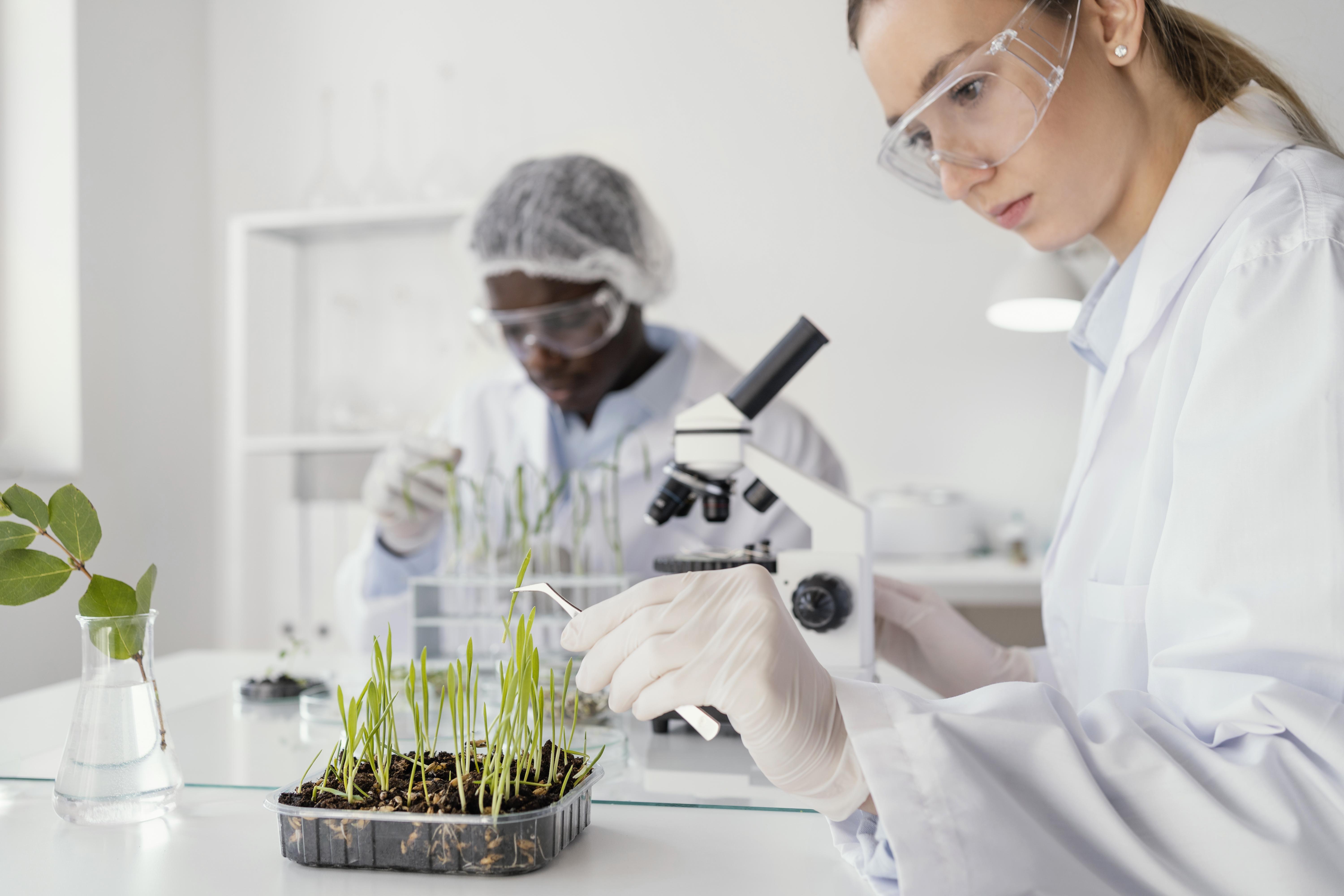 Análise  de inscrição de seleção de pessoas com graduação em biologia e mestrado em biotecnologia