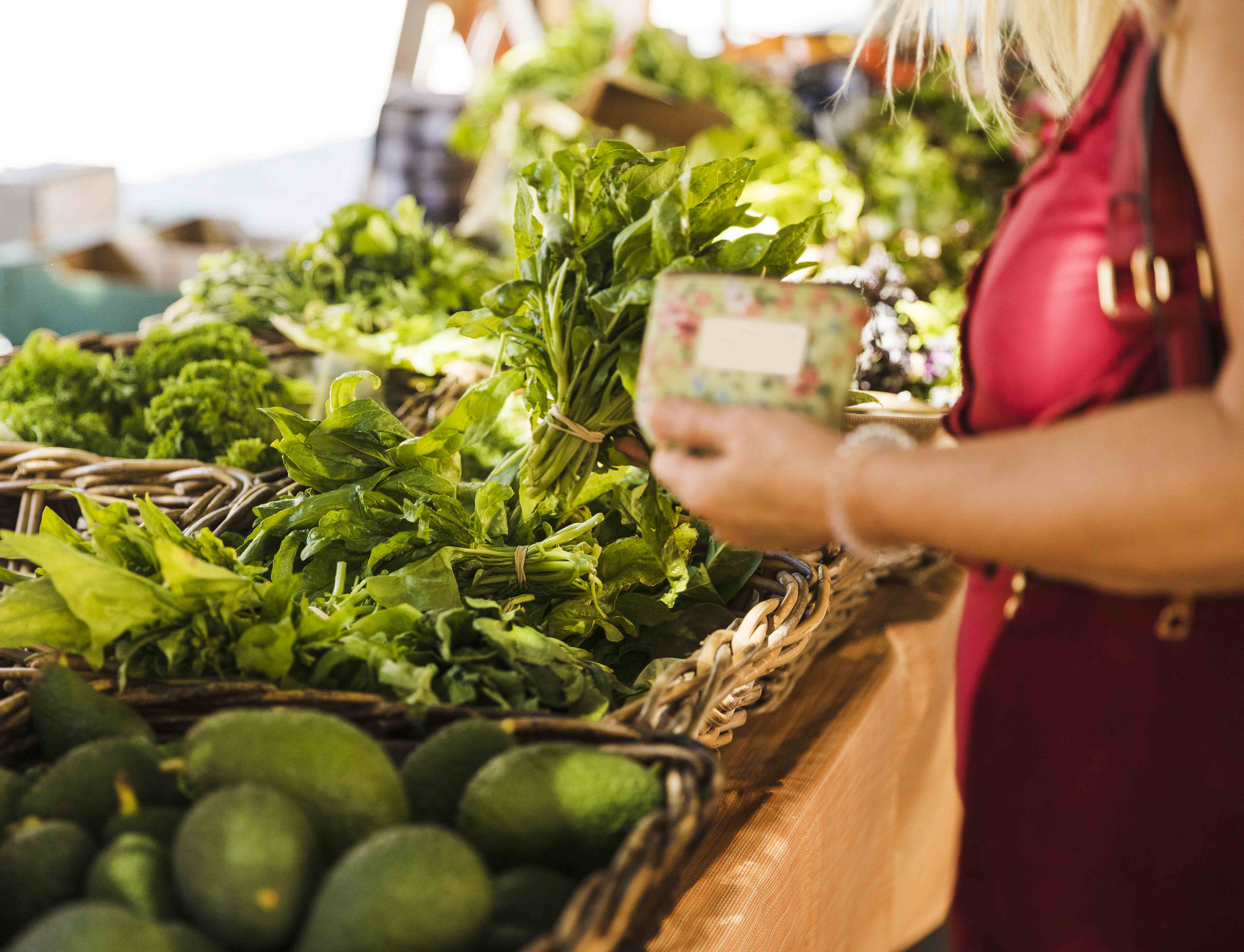 Edital 012/2026 - Articulador Municipal: lista de classificados