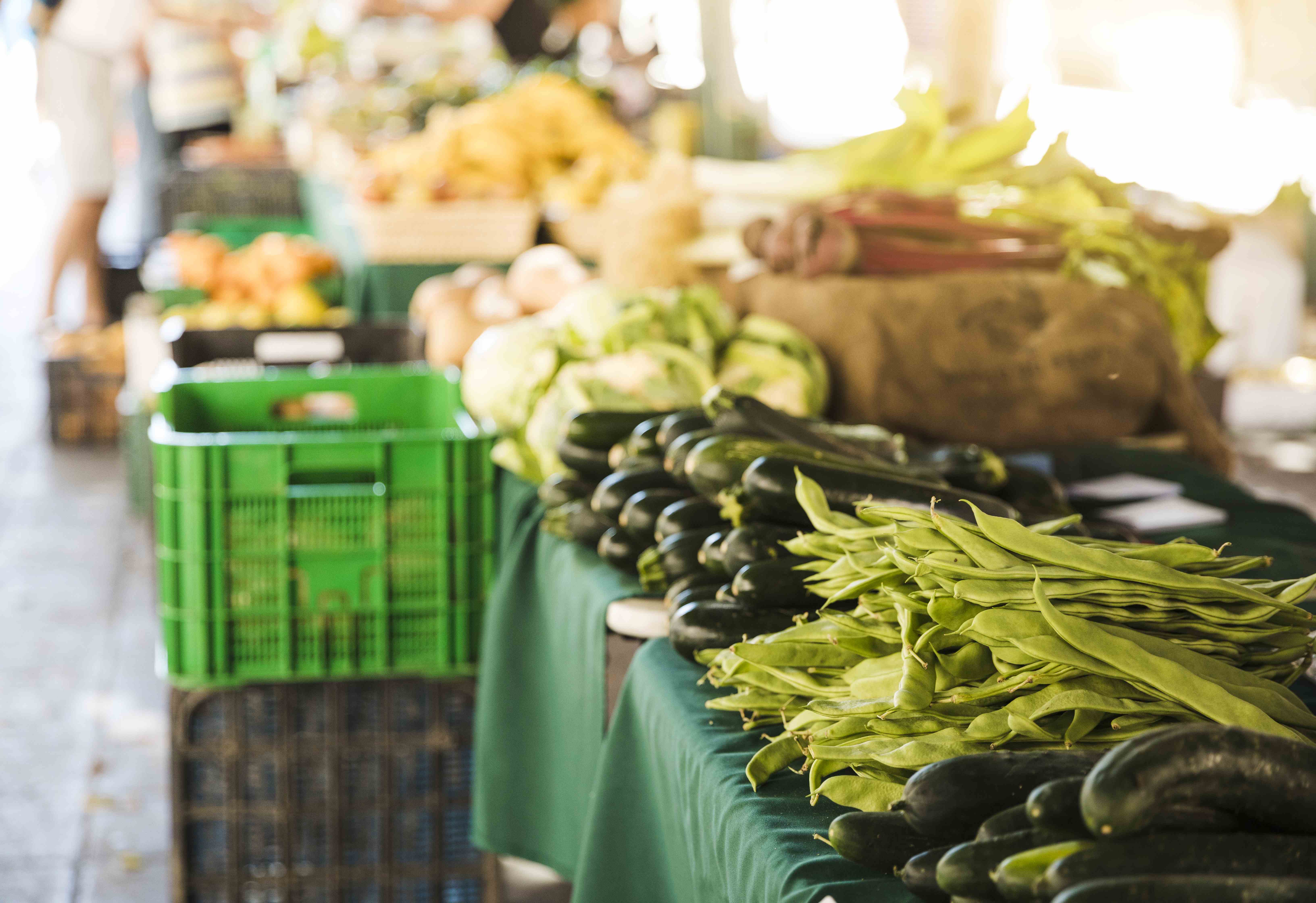 Edital 001/2026 – Seleção de Organizações da Agricultura Familiar: novo cronograma