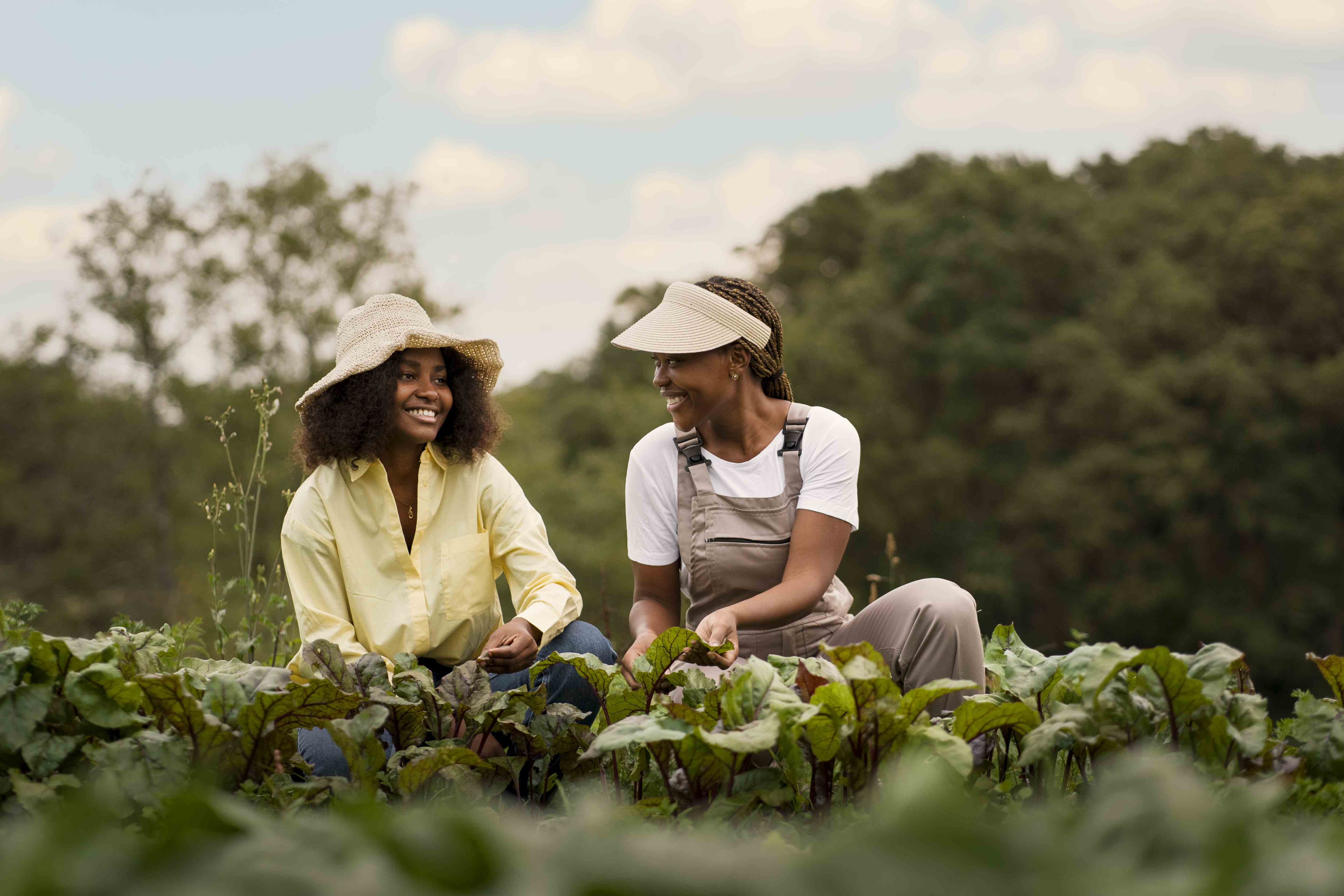 Edital 013/2026 - Articulador de Campo: processo seletivo tem novo cronograma