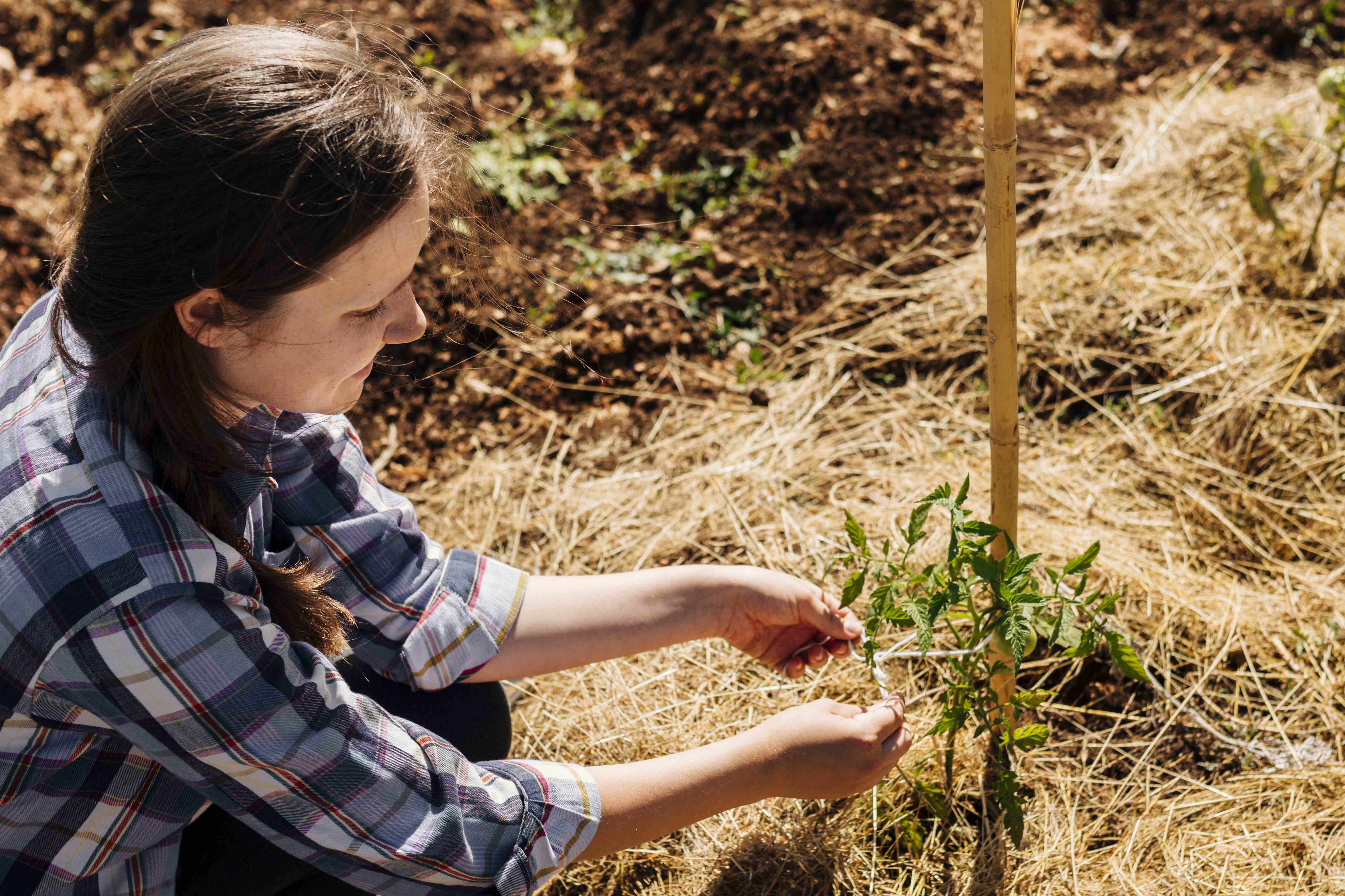Edital 014/2026 - Articulador municipal: lista de classificados para fase de entrevista