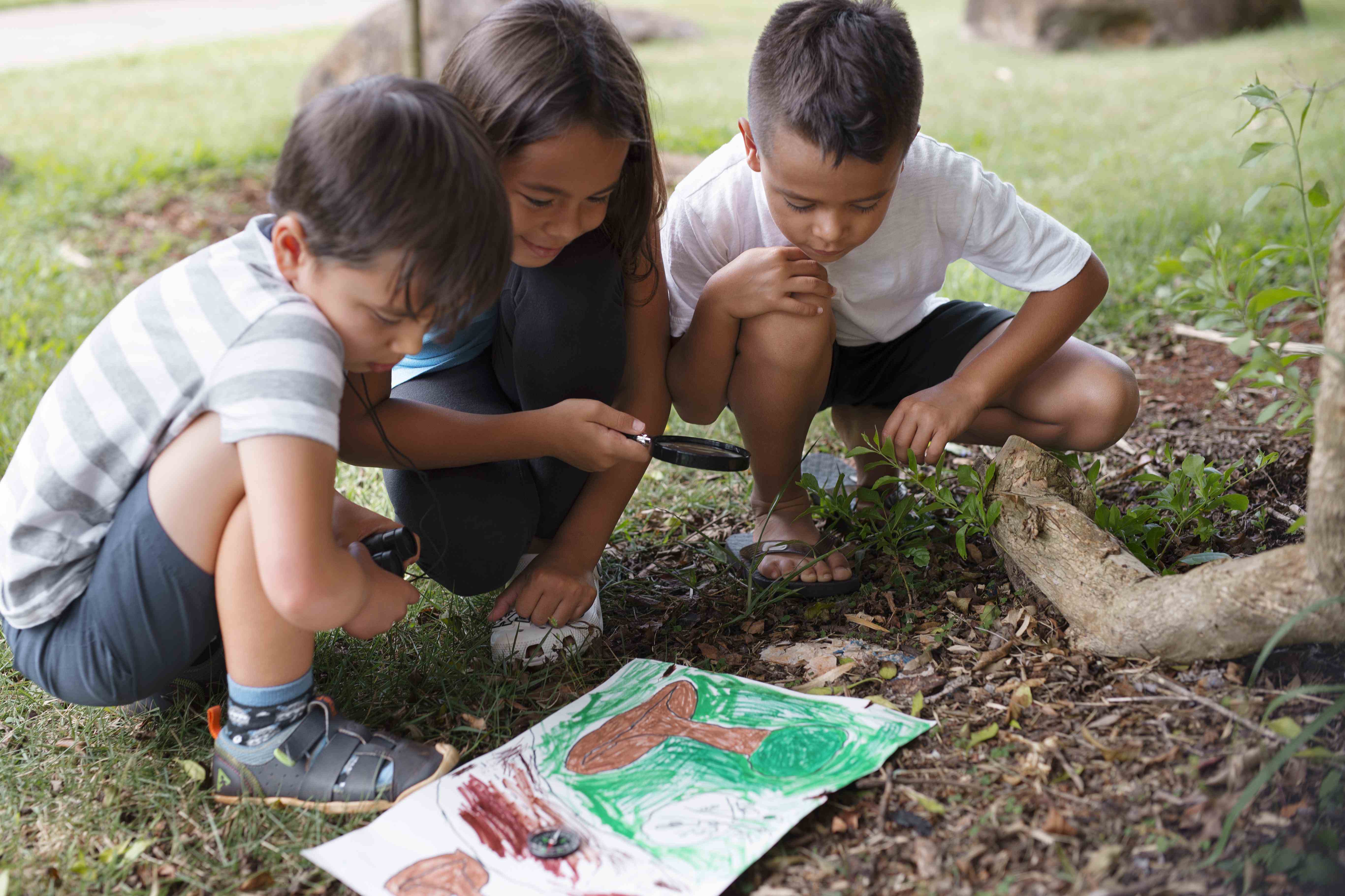 Errata referente à chamada pública para curso de Educação Infantil Ambiental para Justiça Climática