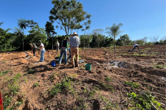 Com apoio da Fundação, UFSCar faz plantio de mais de 10 mil mudas para restauração ecológica