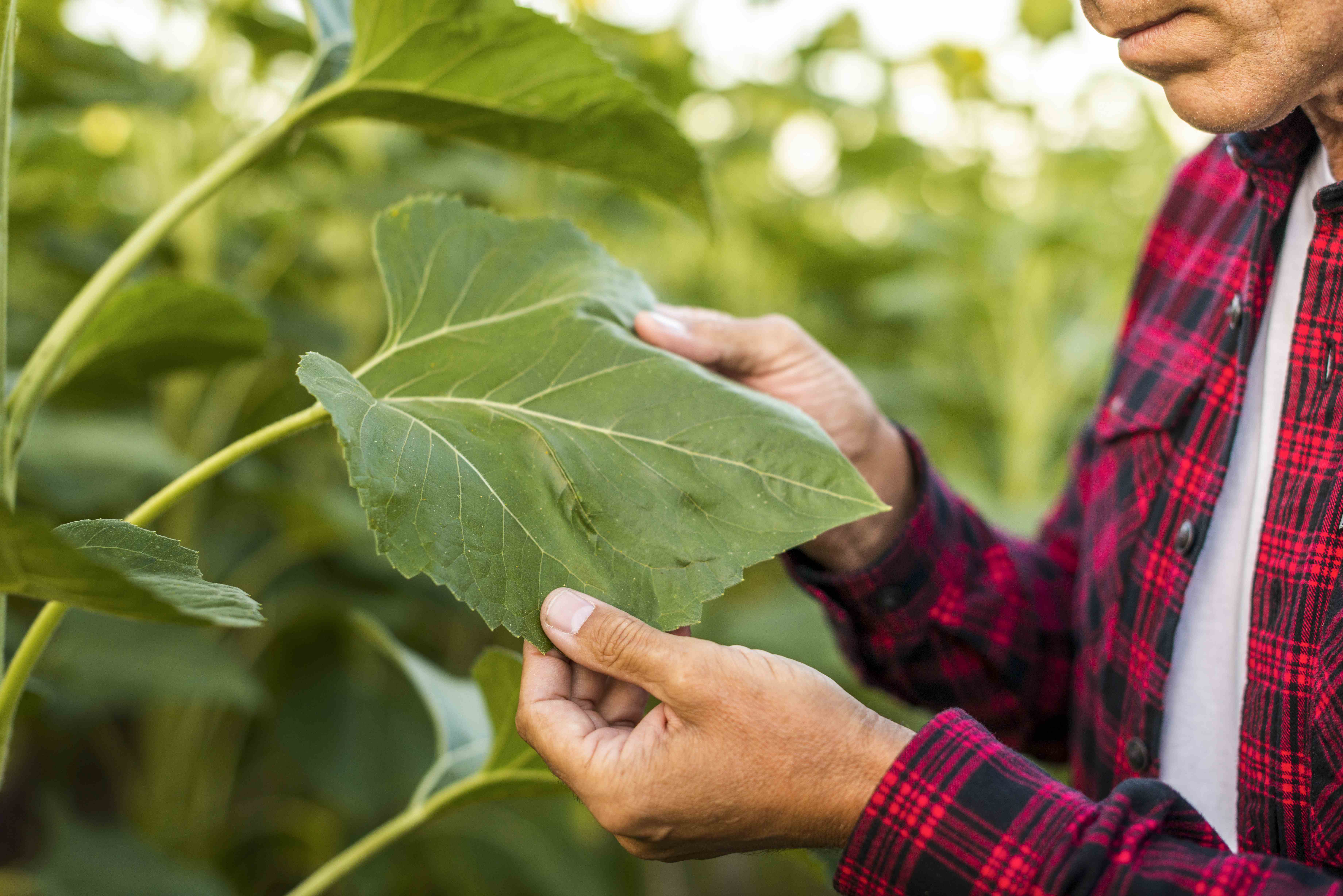 Edital 030/2026 - Técnico de Campo: seleção para formação técnica de agricultores familiares