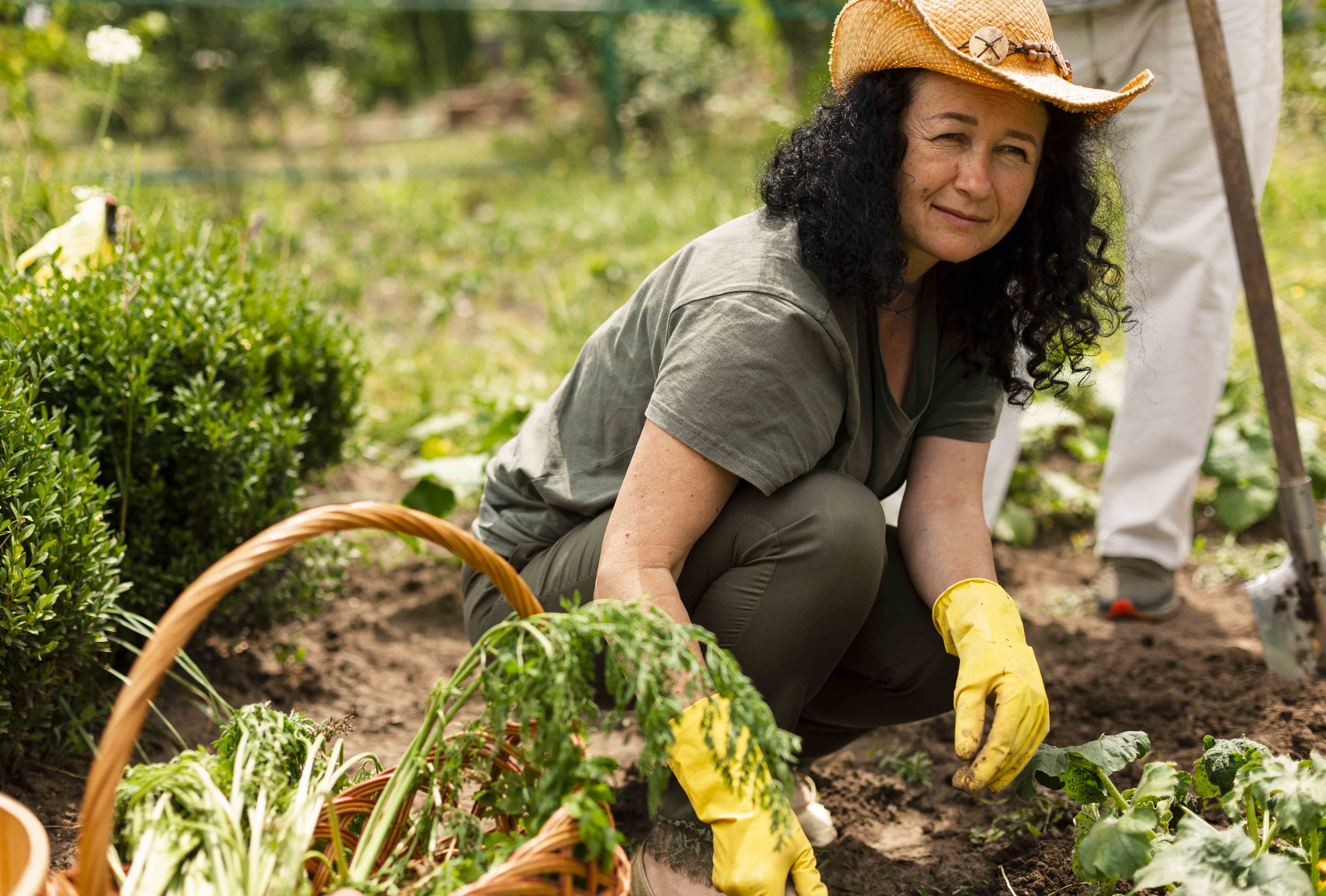 Técnico de campo: seleção de prestação de serviço em São Carlos e região