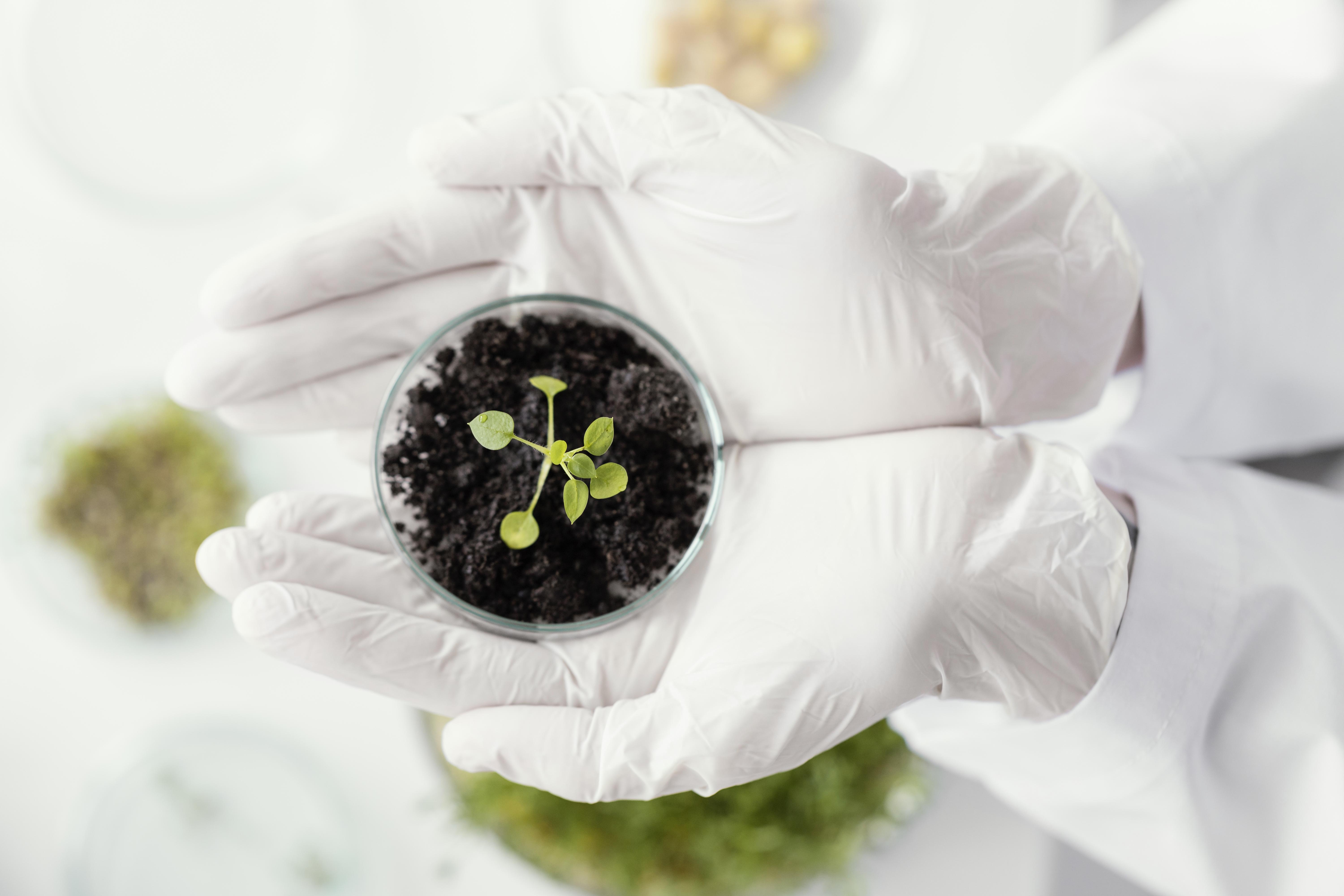 Edital 027/2026 - Embrapa Instrumentação: lista de candidatos selecionados para entrevista