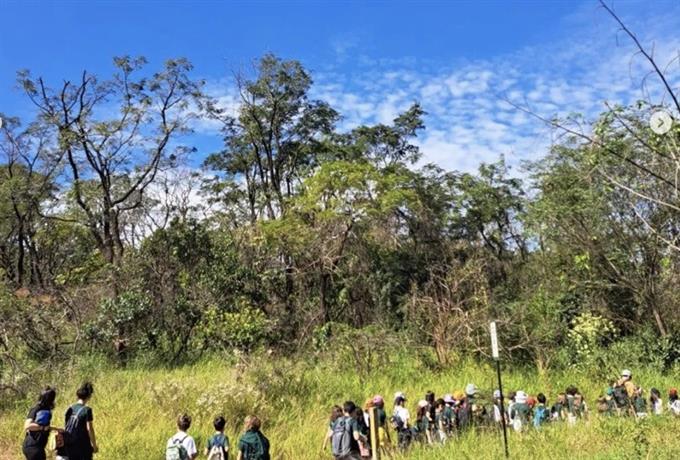 UFSCar promove meditação de atenção plena caminhando no Cerrado