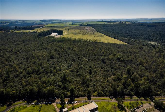 UFSCar abre seleção para prestador de serviços de monitoramento para o Cerrado