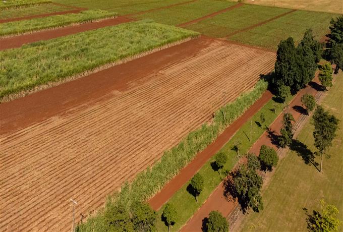 Prorrogadas inscrições em seleção para Programa de Residência Agrícola