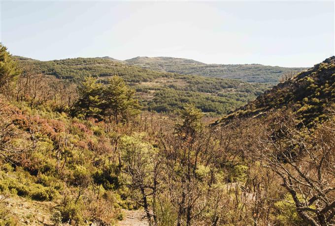 Edital 044/2026 - Educação ambiental: publicado resultado definitivo
