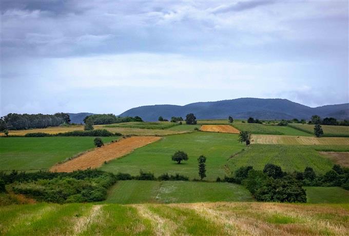 Edital 050/2026 - Técnico de Campo: seleção de graduados em gestão ambiental, biologia ou correlato