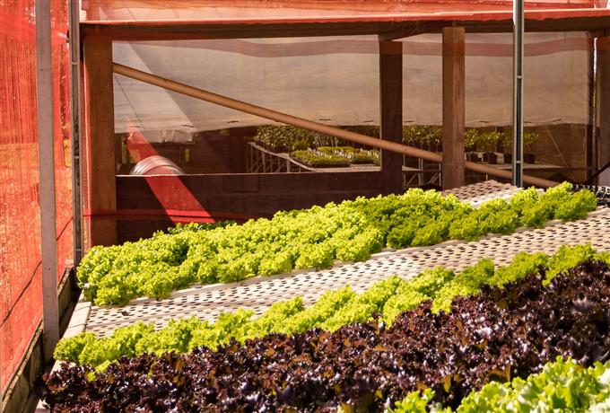 Programa Mais Gestão: Inscrições abertas em seleção de prestadores de serviço