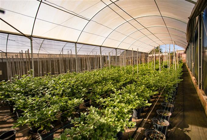 UFSCar seleciona cooperativas de Agricultura Familiar para o Programa Mais Gestão