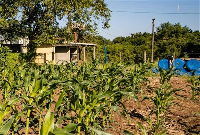 UFSCar debate questão agrária e os desafios para a agricultura familiar