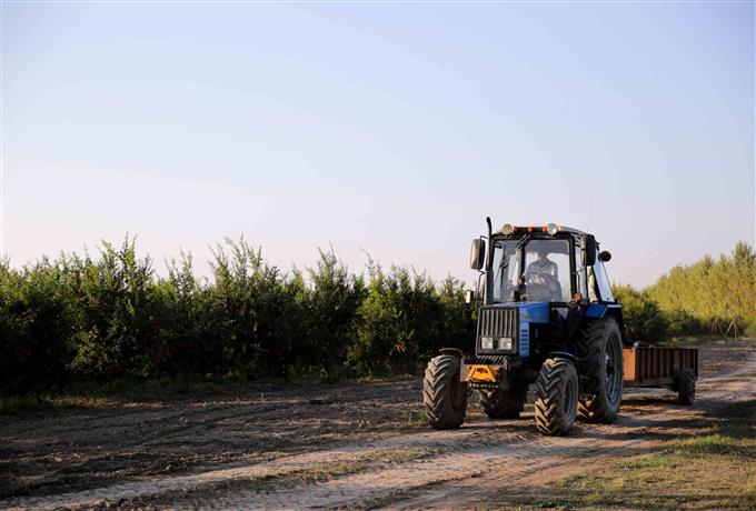 Edital 004/2026 - Operador de máquinas agrícolas: lista de classificados