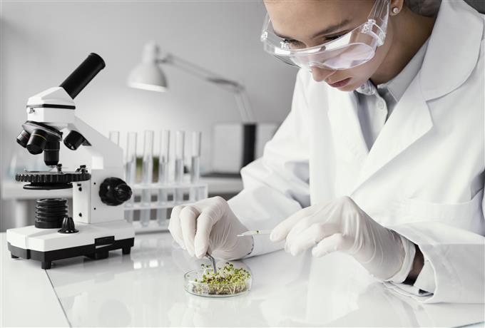 Edital 031/2026 - Embrapa: resultado final seleção em engenharia de materiais, química ou correlata