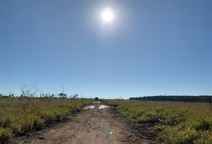 Silvicultura sustentável no Campus São Carlos: FAI UFSCar divulga classificadas para próxima etapa
