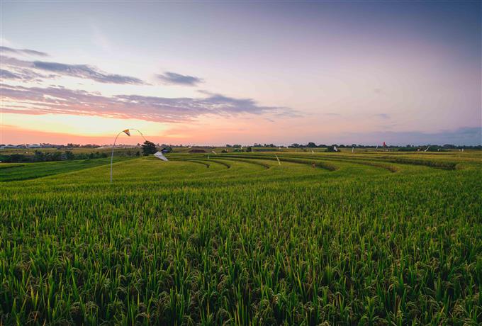 FAI publica análise de inscrição para articulação regional de extensão rural