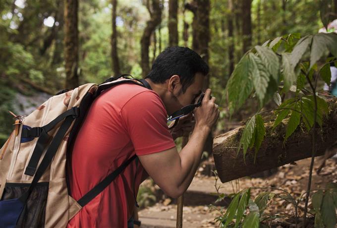 Manejo florestal e silvicultura: FAI UFSCar divulga ata de resultado
