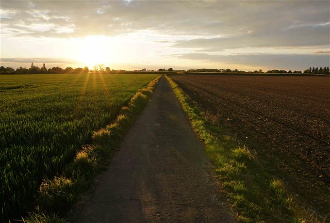 FAI publica resultado de entrevista para articulação estadual de atividades de extensão rural