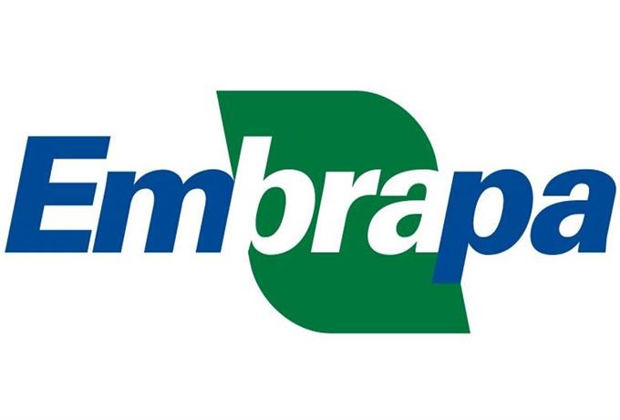 Embrapa abre seleção para bolsista em São Carlos