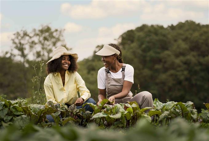 Edital 013/2026 - Articulador de Campo: processo seletivo tem novo cronograma