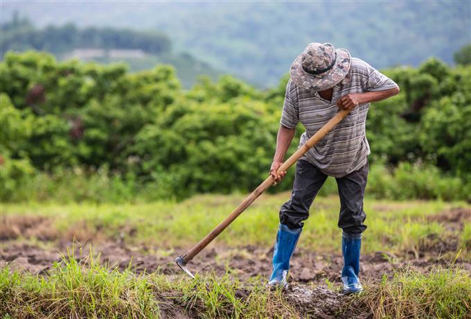 Edital 071/2026 - Técnico de Apoio Operacional: seleção para atuação na área de agricultura
