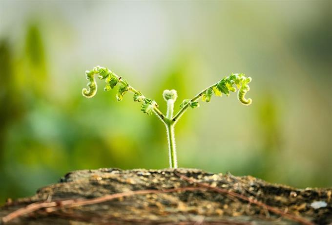 Errata: seleção de estudantes de agronomia para projeto da Embrapa