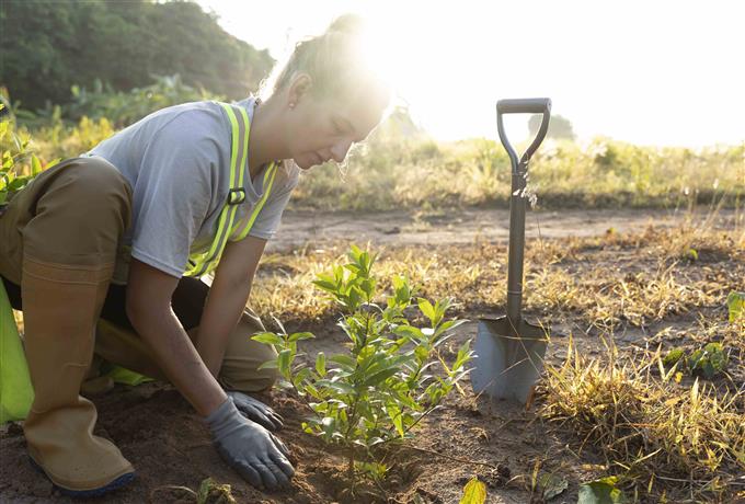 Técnico de campo: seleção de prestação de serviço para atividades em assentamentos em São Paulo