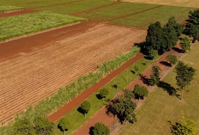 Programa de Residência Agrícola: FAI revela resultado de seleção