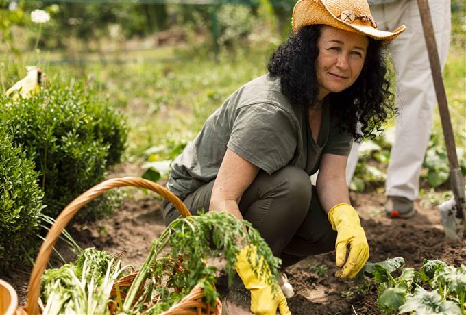 Técnico de campo: seleção de prestação de serviço em São Carlos e região