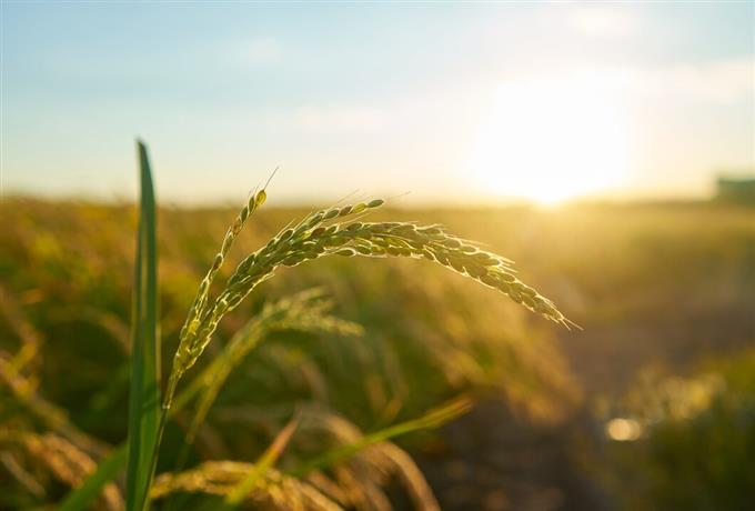 Técnico de Campo: Projeto da UFSCar reabre credenciamento para prestadores de serviço